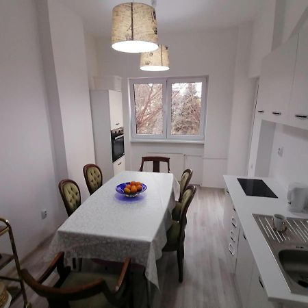 Central Appartment - Heart Of Bucharest - Sector 1 - New Renovated - Open Space エクステリア 写真