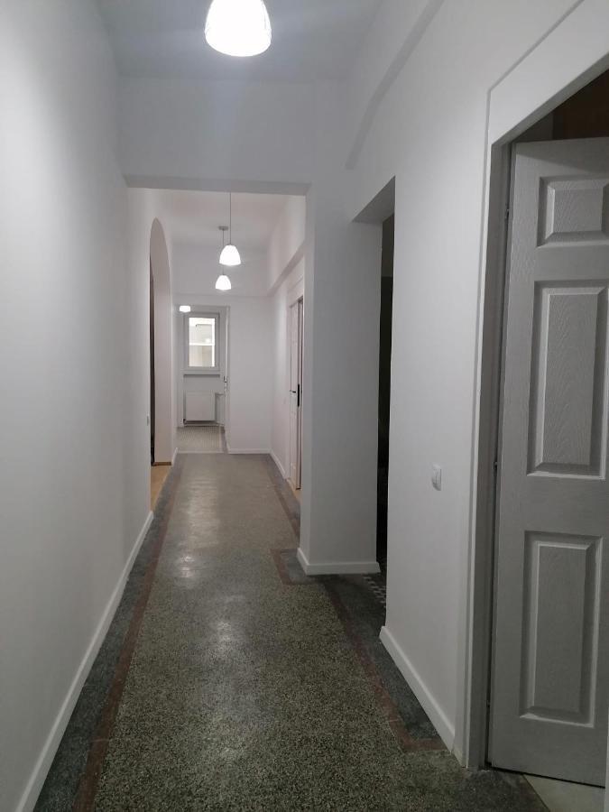 Central Appartment - Heart Of Bucharest - Sector 1 - New Renovated - Open Space エクステリア 写真