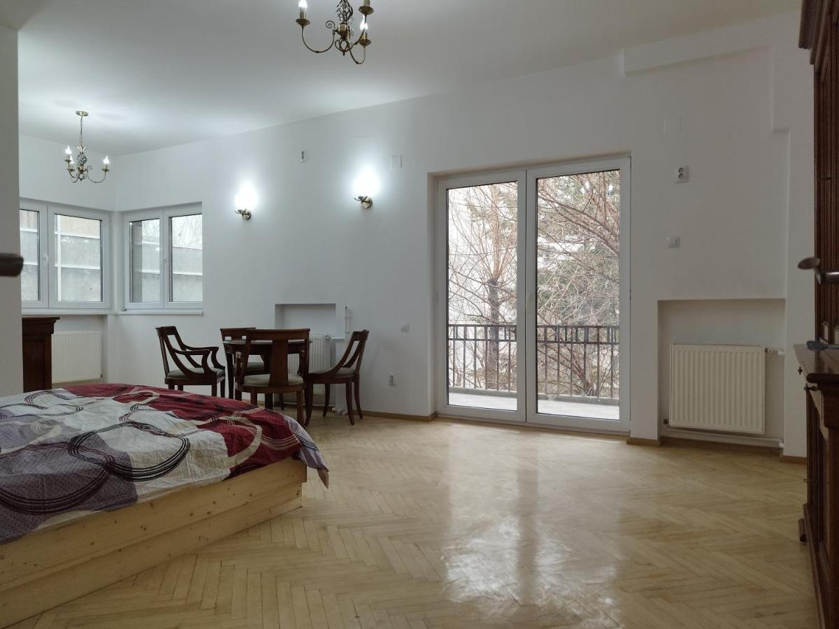Central Appartment - Heart Of Bucharest - Sector 1 - New Renovated - Open Space エクステリア 写真